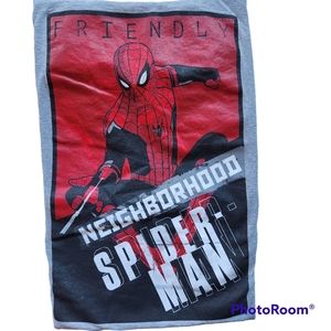 Marvel Studios Spider-Man Short Sleeve Grey Graphics Unisex Adult T Shirt Med